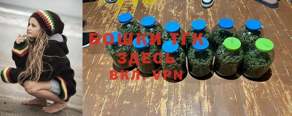 ECSTASY Вяземский