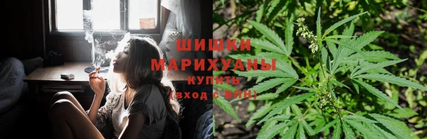 ECSTASY Вяземский