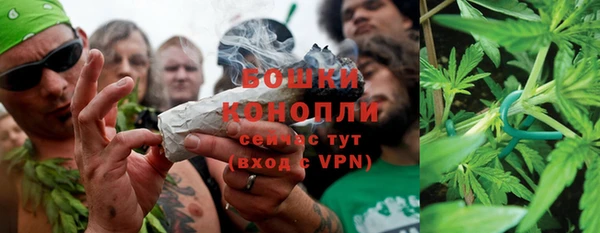 ECSTASY Вяземский